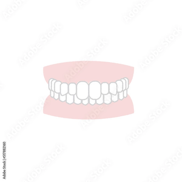 Obraz 出っ歯　歯並び　イラスト