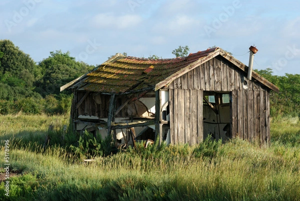 Obraz Abandoned shack