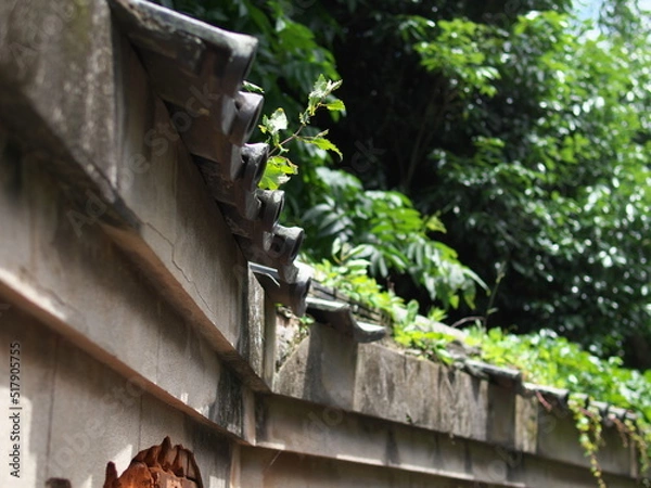 Obraz 路地の崩れかけた屋根瓦
