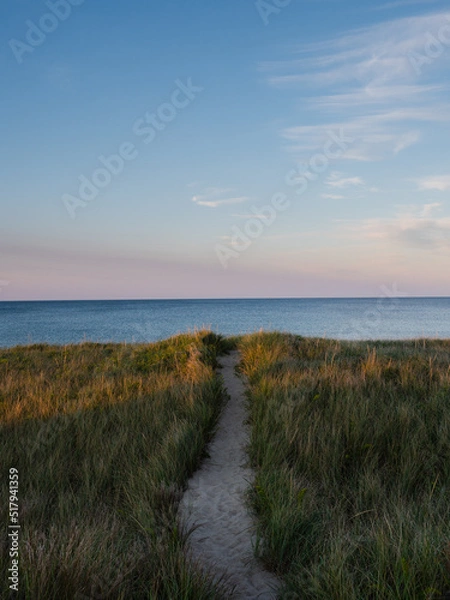 Fototapeta A path to Sagamore Beach on Cape Cod Bay
