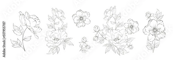 Obraz set of differents peony decoration on white background.