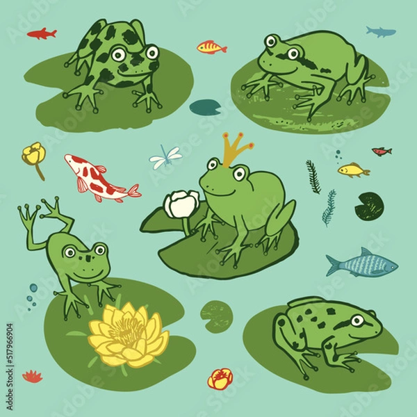 Fototapeta Froggs in the lake, animals vector illustrations set