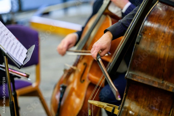 Fototapeta playing the cello