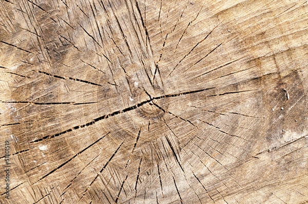 Obraz Drewniane tło