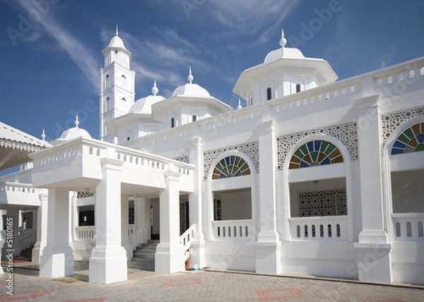 Obraz The White Mosque