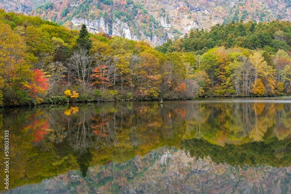 Obraz 鏡池の映り込み