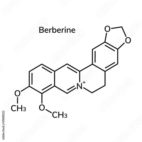 Obraz Structural chemical formula of Berberine