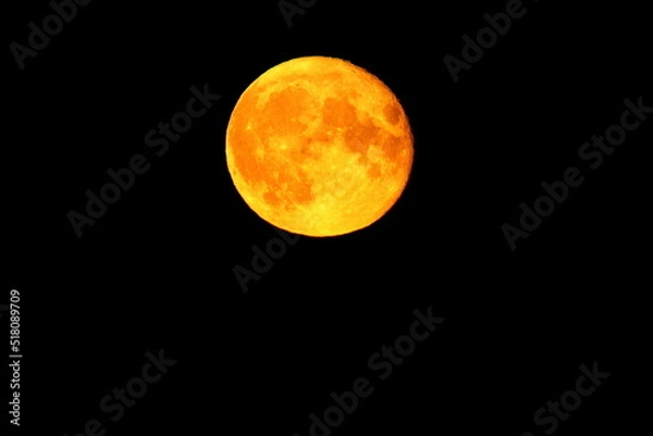 Fototapeta Large yellow moon taken at a close approximation during the period of the full moon and the maximum approach to the Earth.