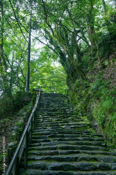 Fototapeta 京都 神護寺へ向かうための長い階段