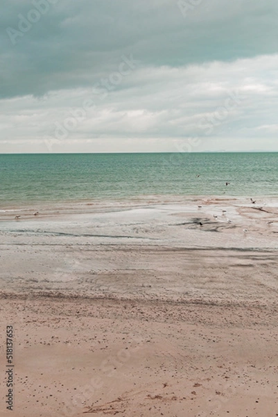 Fototapeta Seascape image of beach and turquoise sea in England, UK. Seagulls and birds on the water and beach. Moody cloudy sky above. Copy space available