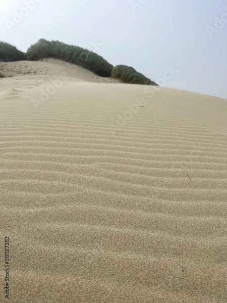 Obraz sand dunes in the morning
