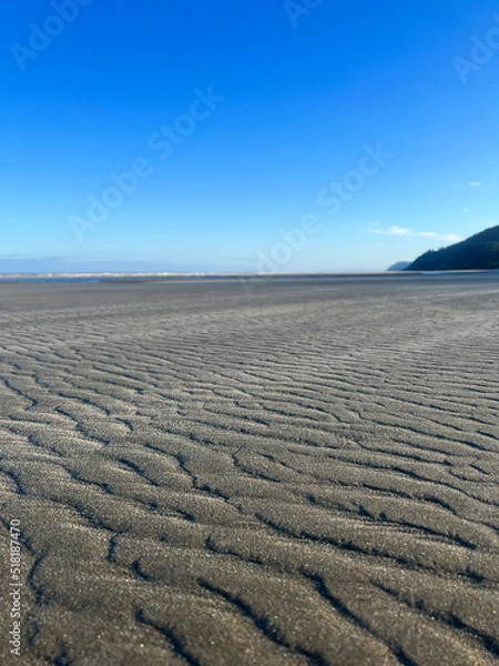 Obraz Dry valley along the coastline dunes 