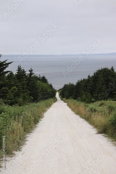 Obraz 天国へ続く白い一本道　北海道