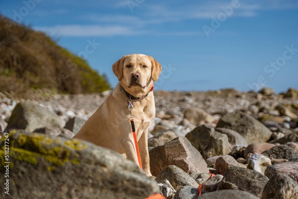 Obraz Strandspaziergang