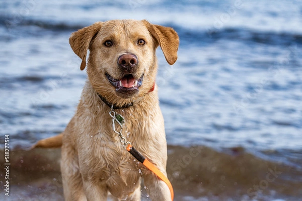 Fototapeta Badespass