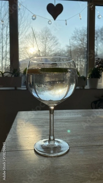 Obraz gin and tonic closeup