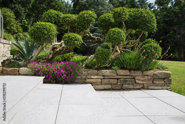 Fototapeta Modern garden design and landscaping:Hillside plot paved with natural sidewalk flagstones in contrast to a raised bed with natural stone walls, planted with succulents, flowers and beautiful boxtrees