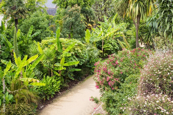 Fototapeta Mediterranean garden or terrace design and landscaping:Beautiful lush green garden with palms, banana trees, foliage plants, perennial herbs and oleander along a sidewalk 
