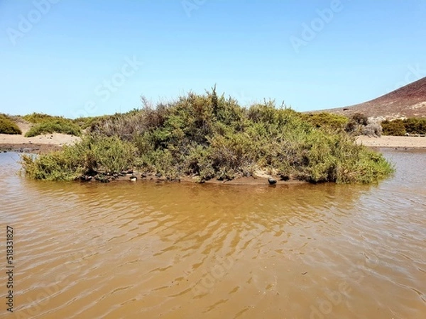 Obraz river in the desert