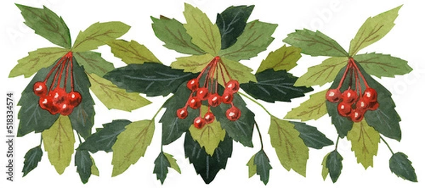 Obraz Hawthorn pattern on a white background, watercolor