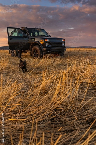 Obraz car in the field
