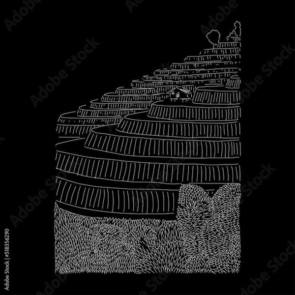 Obraz Bali rice paddies