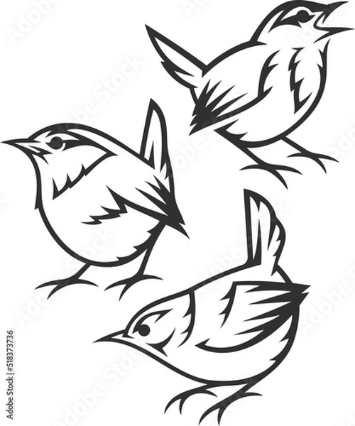 Fototapeta Stylized Birds - Eurasian Wren