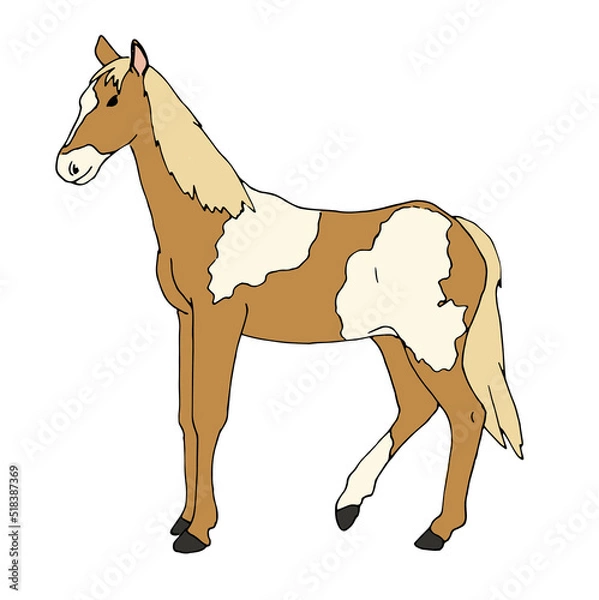 Obraz Pferd - gefleckter Mustang