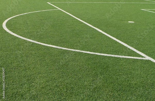 Fototapeta campo da calcetto III