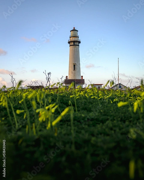 Obraz lighthouse on the coast