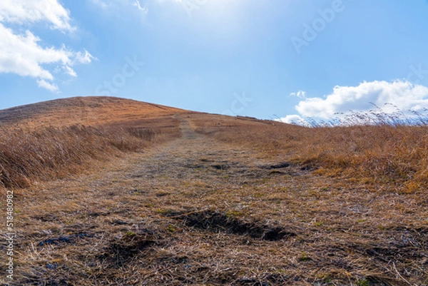 Fototapeta 【長崎県五島市】鬼岳園地（五島列島の福江島）