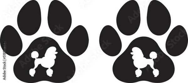 Obraz Poodle Paw 2