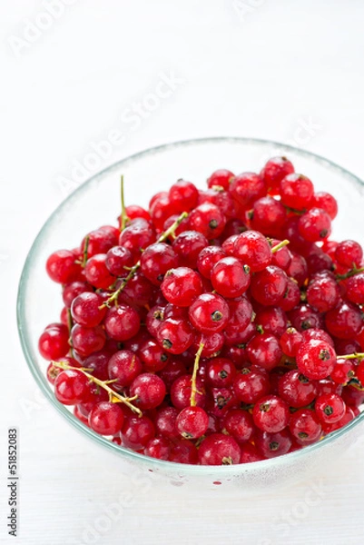Fototapeta Bowl of red currant on light background