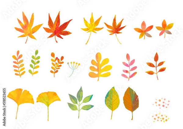 Obraz 秋の紅葉 葉っぱ水彩イラストセット