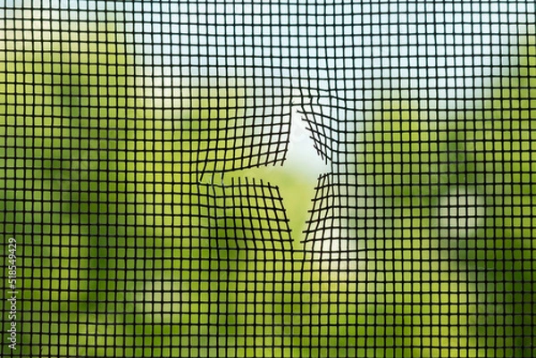 Fototapeta torn mosquito net