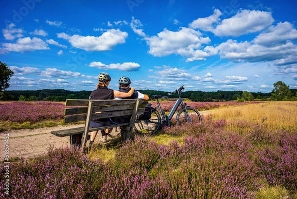 Fototapeta Heidefläche Haverbeck