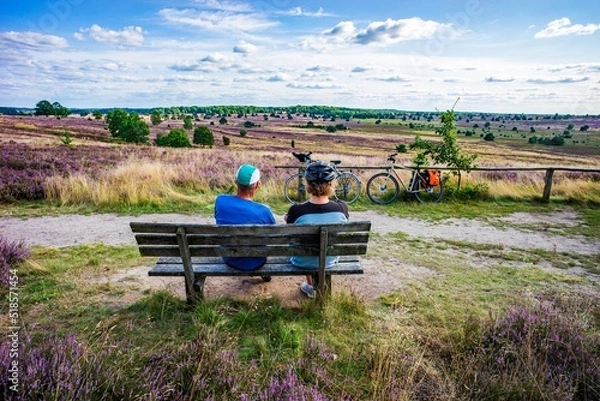 Fototapeta Heidefläche Haverbeck