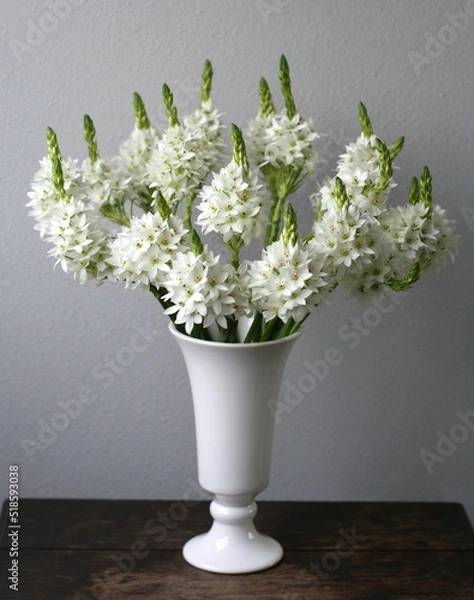 Obraz オーニソガラム