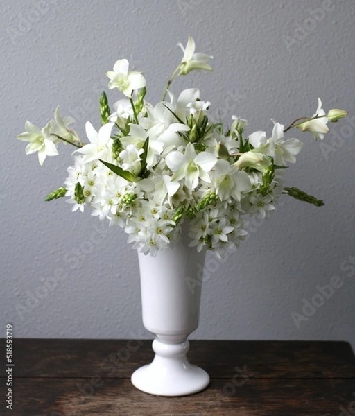 Obraz オーニソガラム