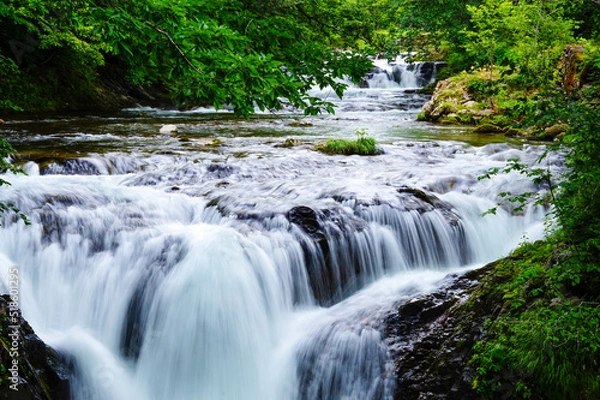Fototapeta 北海道伊達市大滝区　三階滝公園　新緑の滝