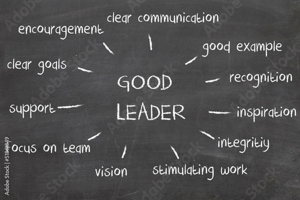 Obraz Leadership chart