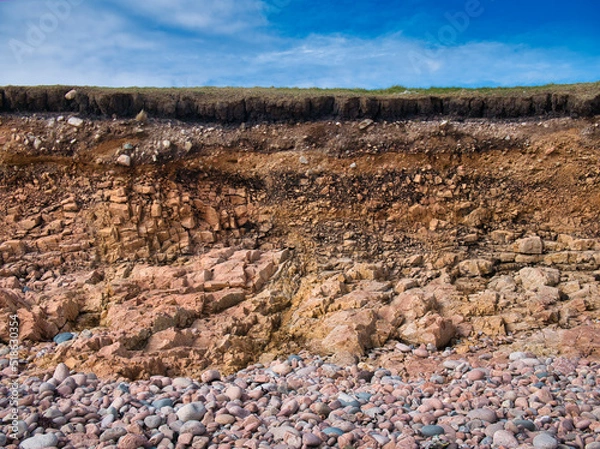 Fototapeta Eroding soil, subsoil and bedrock at a pebble beach near Sand Wick and Hillswick in Northmavine, Shetland, UK. Taken on a sunny day with a blue sky in the background.