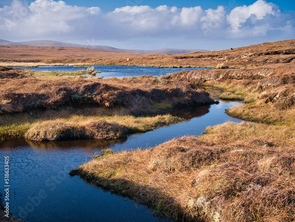 Fototapeta A wetland area forming peat near Eshaness, Northmavine on Mainland, Shetland, UK. Taken on a sunny day with blue sky and white clouds.