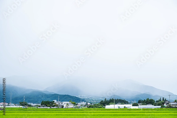 Fototapeta 雨が降っている山際