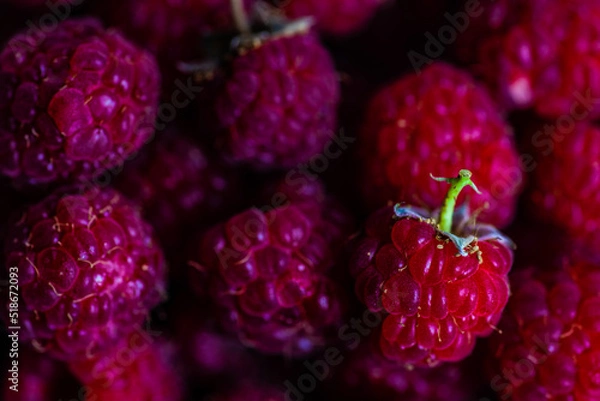 Obraz Close up of ripe raspberries