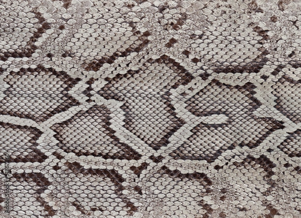 Fototapeta Skórka Pythona