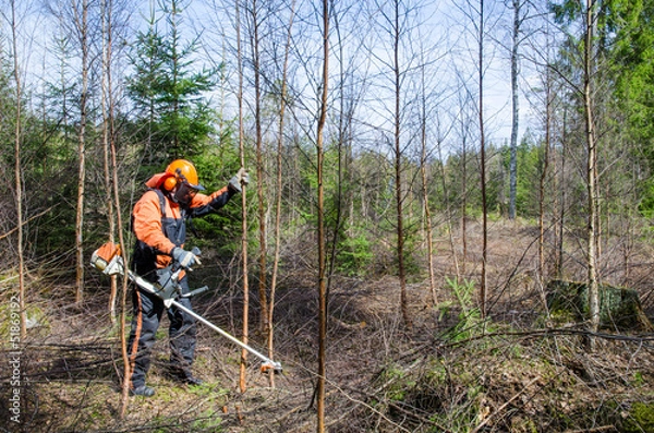 Obraz Praca w wykaszarce