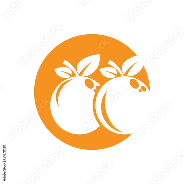 Fototapeta Orange logo design Vector icon illustration design