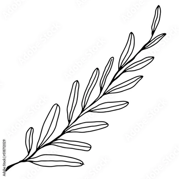 Obraz hand drawn outline flower and plants