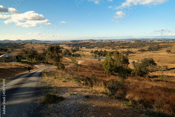 Fototapeta Aerial view of mountain landscape surrounded by growing trees under blue bright sky, Mudgee Australia